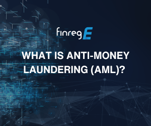 Anti-money laundering, AML, Financial Crime, FinregE, RIG, AI, CFT